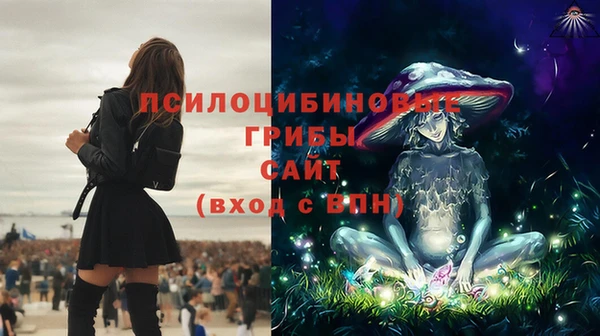прущие крисы Нижний Тагил