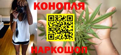 шишки Донской