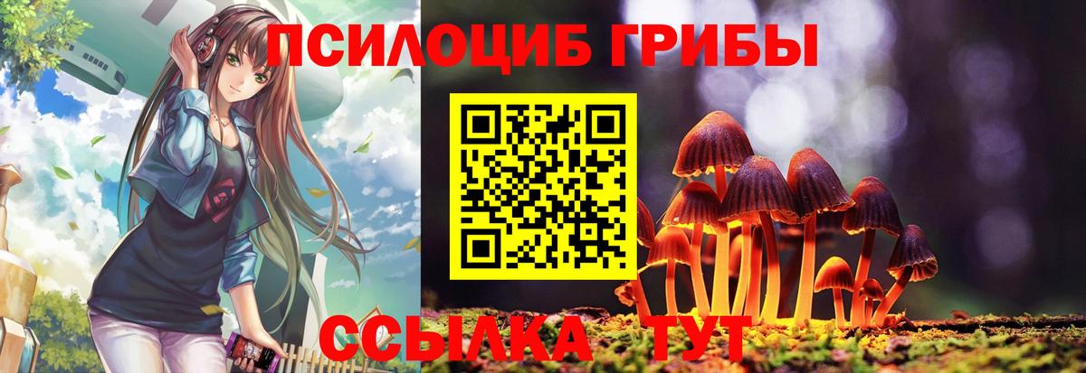Комсомольск-на-Амуре  Галлюциногенные грибы Psilocybe  что такое наркотик  Вход с VPN 